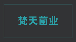 食品行业西藏冲锋衣设计款式